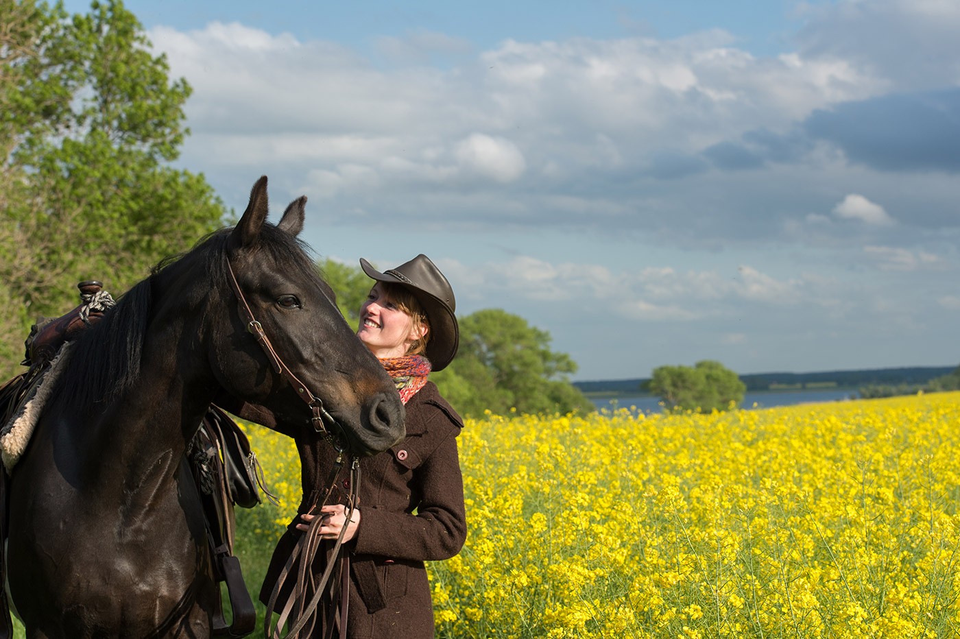 tolle Westerpferde beim Ausritt