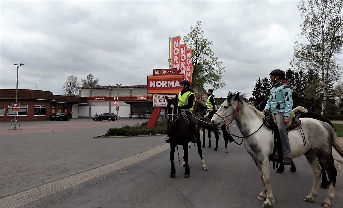 Supermarkt-shopping mit Pferd