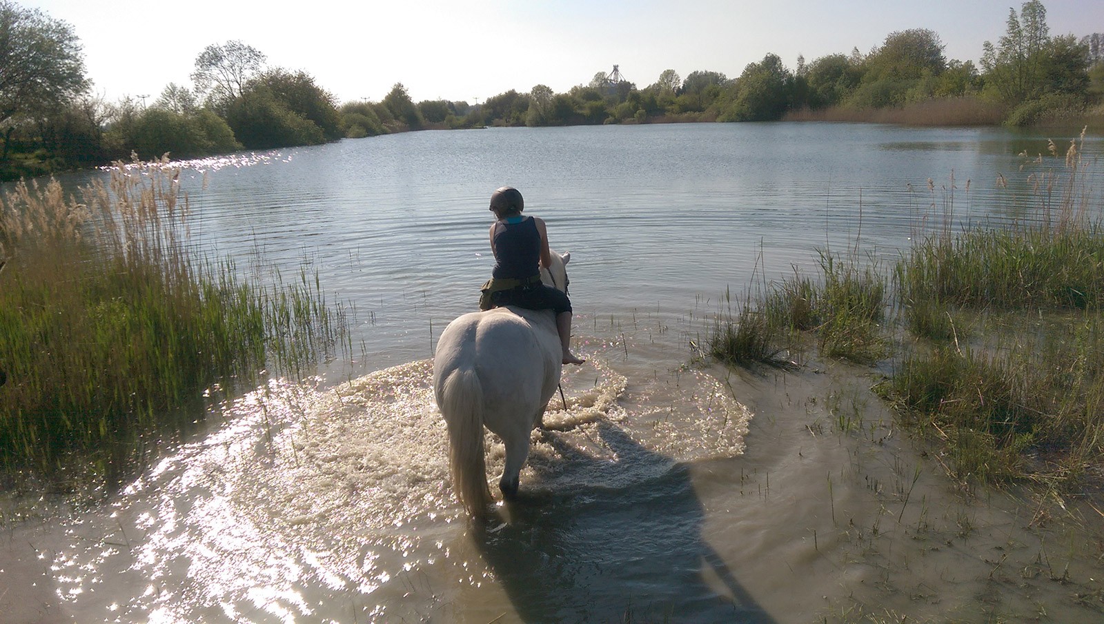 unsere Pferde planschen gerne im Wasser