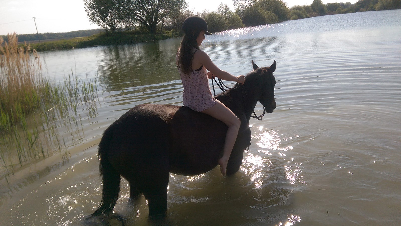 baden gehen mit Pferden