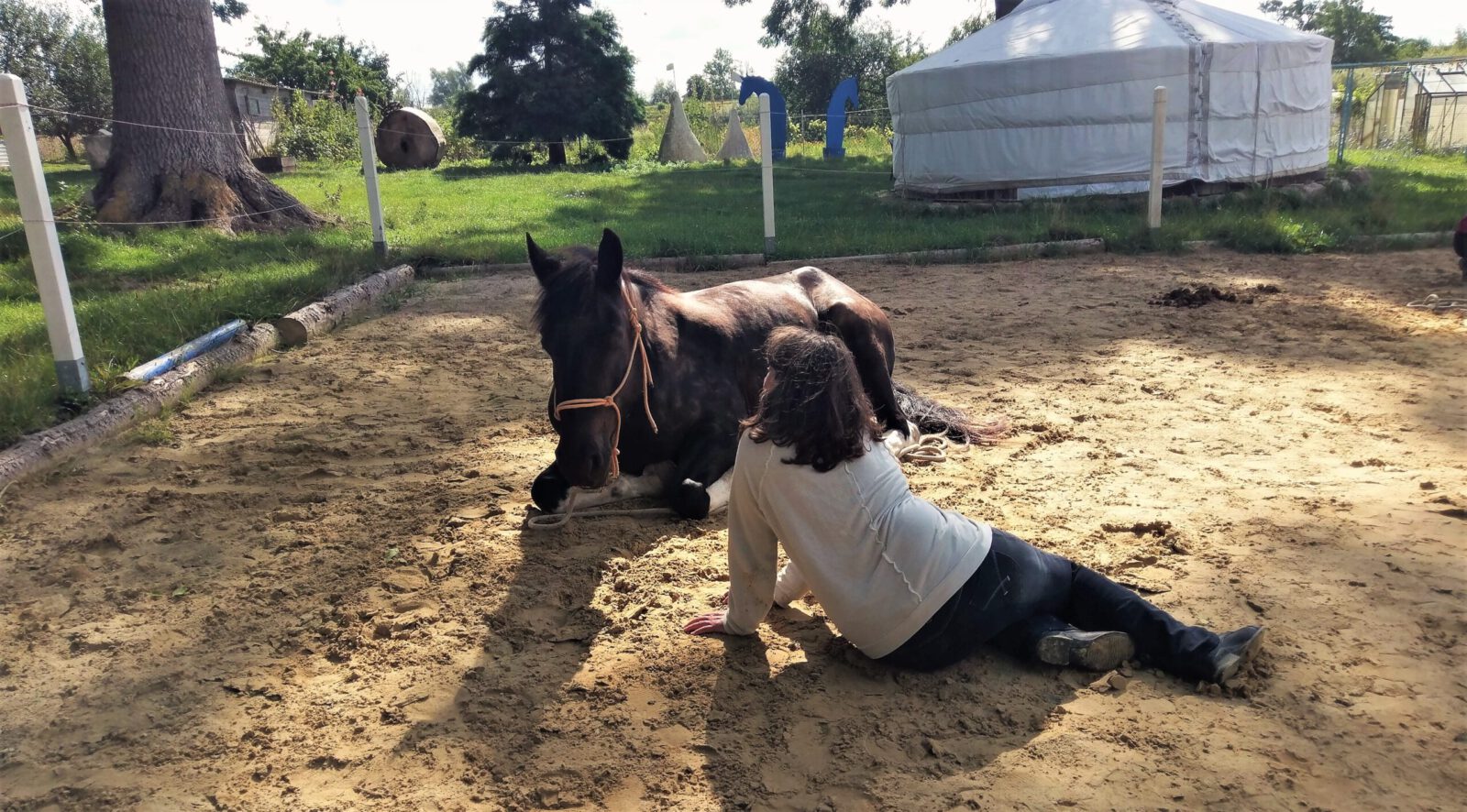 Bodenarbeit mit Pferden: beim liegenden Pferd selber entspannen