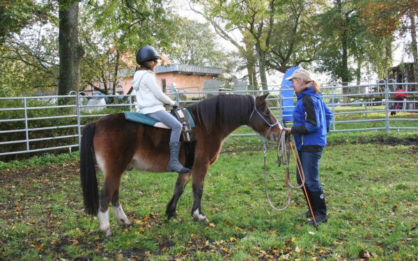 Longenunterricht: ohne Sattel reiten mit Longiergurt im ART.Quartier