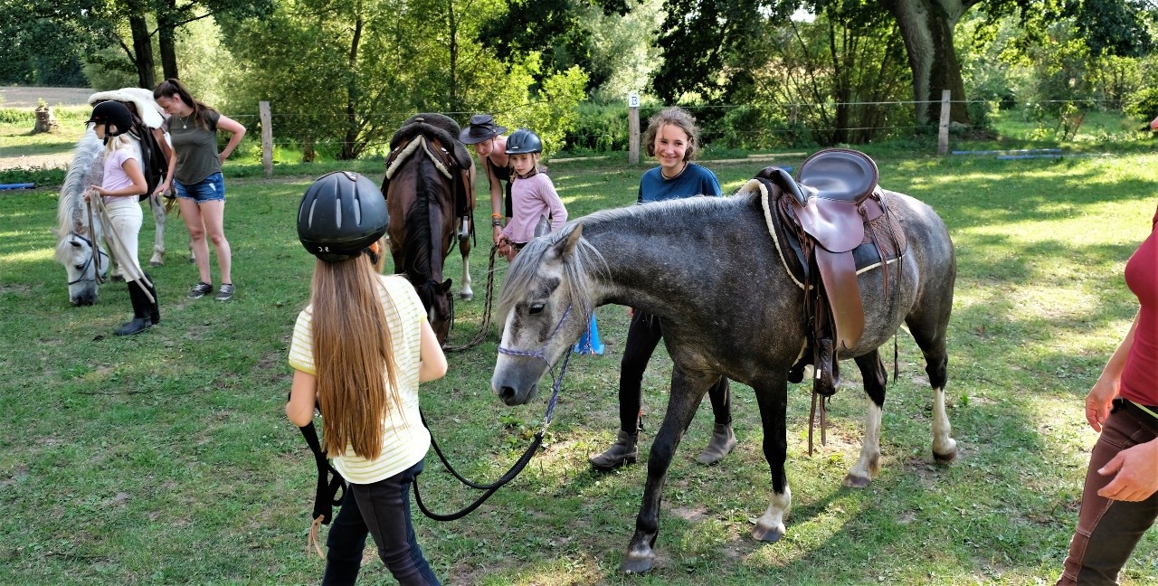 Wesern-Reitunterricht auf dem Platz mit Kindern und Ponys: nach dem Absitzen