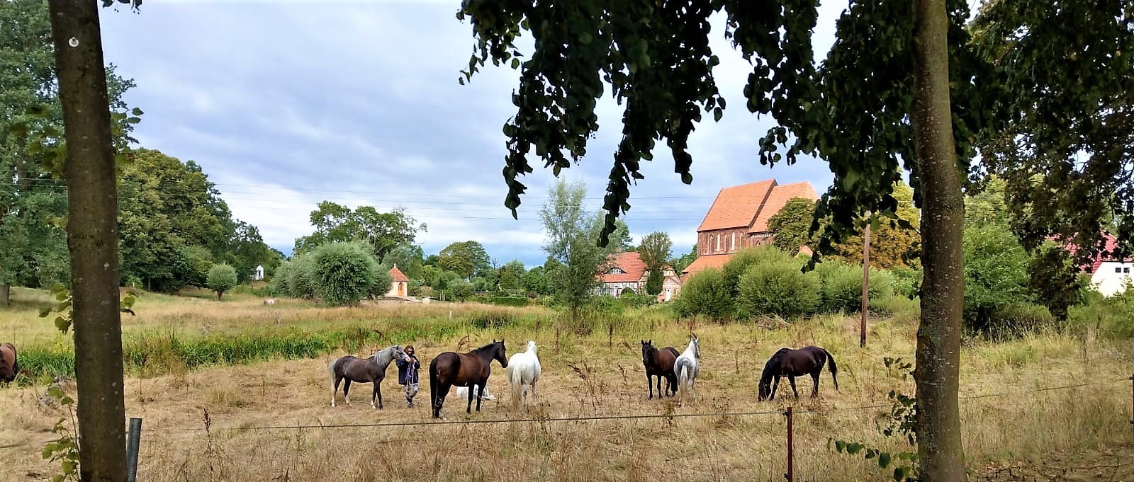 Pferdekoppel mit traumhafter Kulisse in Starkow