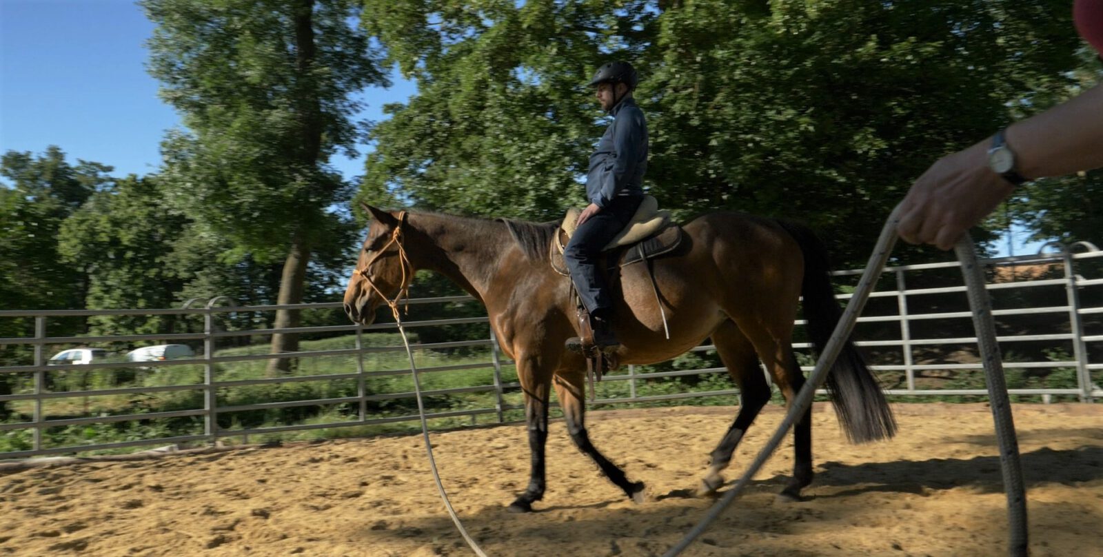 Pferd an der Longe: Anfänger- Reitunterricht für Erwachsene